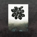 Bild 2 von Simon Hurley create. Stellar Foam Dye Ink Pad - Tuschestempelkissen Black Widow