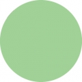 Tombow Filzstift Dual Brush Pen mint (243)