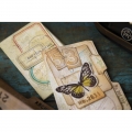 Bild 8 von Sizzix Thinlits Die by Tim Holtz - Stanzschablone - Specimen