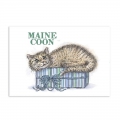 Bild 2 von For the love of...Stamps by Hunkydory - It's A Cat's Life Clear Stamp - Maine Coon