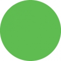 Tombow Filzstift Dual Brush Pen light green (195)