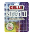 Gellis Arts - Gel Printing Plate Druckplatte Student Plate 5