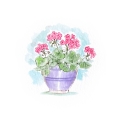 Bild 2 von Art Impressions Stempelgummi Watercolor Geranium Set