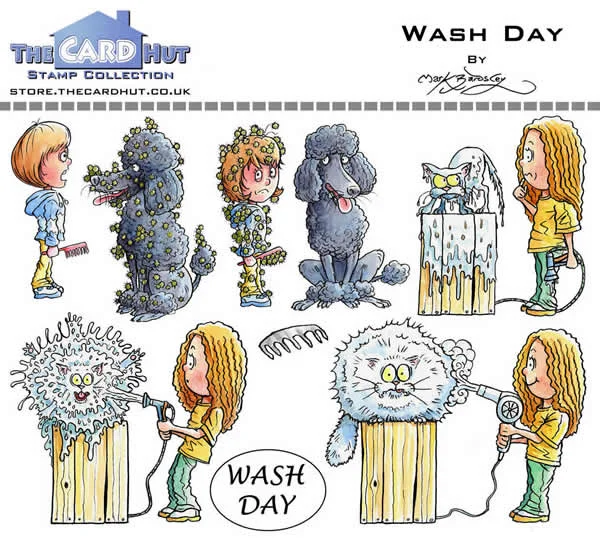 The Card Hut Clear Stamps - Wash Day - Stamp Set