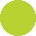 Tombow Filzstift Dual Brush Pen chartreuse (133)