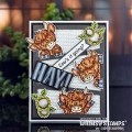 Bild 4 von Whimsy Stamps Clear Stamps - Cow Crazy