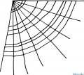 StempelBar Stempelgummi Spinnennetz