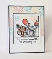 Bild 3 von Your Next Stamp Clear Stamp Silly Fun Birthday Stamp Set
