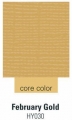 Cardstock  ColorCore  february gold