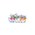 Bild 2 von Art Impressions Stamp Set - Watercolor Mini Critter Pots