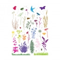 Hero Arts Stanze - Wildflowers & Bugs Hero Transfers