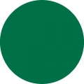 Tombow Filzstift Dual Brush Pen dark green (277)