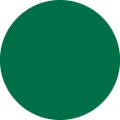 Tombow Filzstift Dual Brush Pen dark green (277)