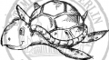 Bild 2 von StempelBar Ministempel - Wasserschildkröte  / (Stempel) Halmakegel - montiert