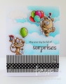 Bild 4 von Your Next Stamp Clear Stamp Silly Fun Birthday Stamp Set