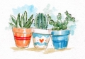 Bild 2 von Art Impressions Stempelgummi Watercolor Desert Succulent Set