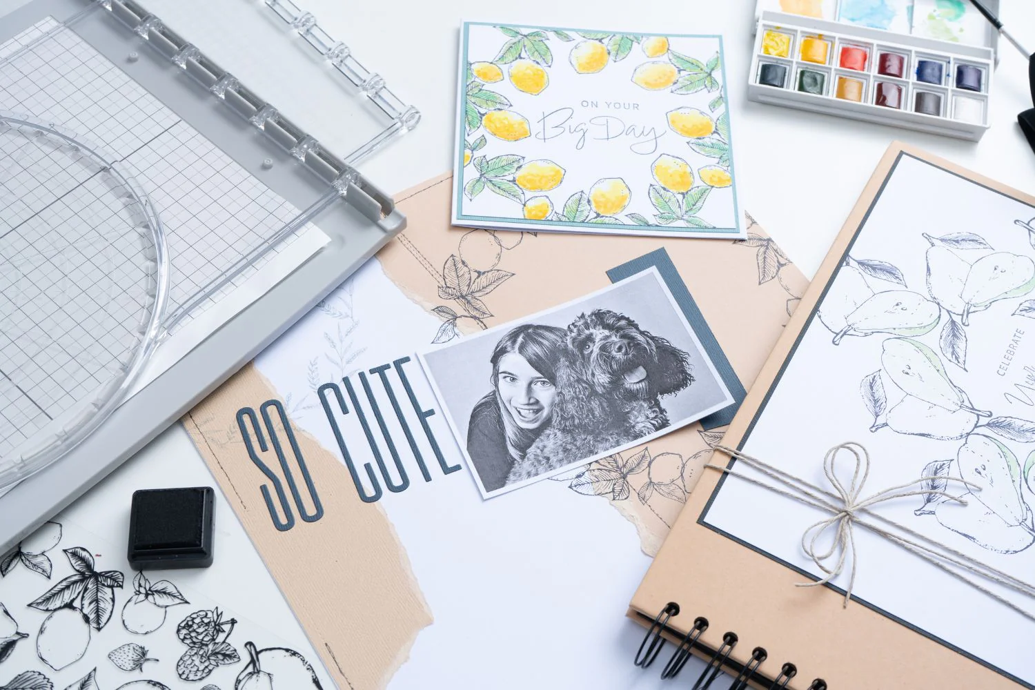 Bild 7 von Sizzix Stencil & Stamp Tool Accessory – Stamp & Spin Tool - Erweiterung für Stempelhilfe