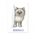 Bild 2 von For the love of...Stamps by Hunkydory - It's A Cat's Life Clear Stamp - Birman