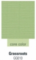 Cardstock  ColorCore  grassroots