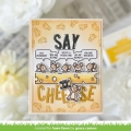 Bild 16 von Lawn Fawn Clear Stamps - simply celebrate hangouts