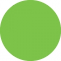 Tombow Filzstift Dual Brush Pen willow green (173)