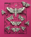 Bild 3 von Pink Ink Designs A Cut Above - Stempel & Stanze Moth  (Motte)