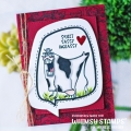 Bild 9 von Whimsy Stamps Die Stanze  -  Comic Speech Bubbles 2 Die Set