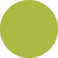 Tombow Filzstift Dual Brush Pen light olive (126)