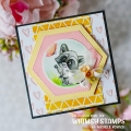 Bild 7 von Whimsy Stamps Clear Stamps - Raccoon Happy Day