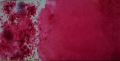 Bild 1 von Brusho Farbpulver  / (Farbe) Alizarin Crimson