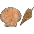 Bild 2 von Sizzix Bigz Die W/Texture Fades By Tim Holtz Seashells - Stanze Muschel