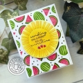 Bild 5 von Hero Arts Stencil - Color Layering Watermelon