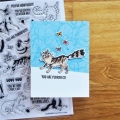 Bild 2 von Simon Hurley create Photopolymer Clear Stamps Purrfect Cats - Clear Stamps Katzen