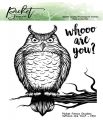 Bild 1 von Picket Fence Studios Clear Stamps Whooo are You? - Eule