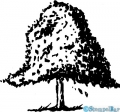 Bild 5 von StempelBar Stempelgummi Bäume-Set