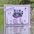 Bild 5 von Whimsy Stamps Clear Stamps - Raccoon How've You Bin