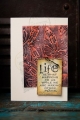 Bild 7 von Sizzix Thinlits Die by Tim Holtz - Stanzschablone - Vault Scribbly Butterfly