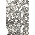 Bild 2 von Sizzix 3-D Texture Fades Embossing Folder by Tim Holtz - Prägefolder - Entangled