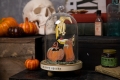 Bild 4 von Sizzix Thinlits Die by Tim Holtz - Stanzschablone - Pumpkin Duo, Colorize