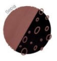 Bild 1 von Copic acrea Paint Marker  / (Farbe) 004 Sepia