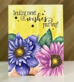 Bild 4 von Colorado Craft Company Clear Stamps - Big & Bold~Daisy & Dahlia