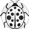 Bild 2 von StempelBar Ministempel - Marienkäfer  / (Stempel) Halmakegel - montiert