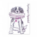 Bild 2 von For the love of...Stamps by Hunkydory - It's a Dog's Life Clear Stamp - Springer Spaniel