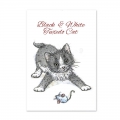 Bild 2 von For the love of...Stamps by Hunkydory - It's A Cat's Life Clear Stamp - Black & White Tuxedo